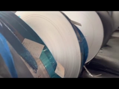 Superficie laminata a caldo della striscia 316 316L AISI ASTM A276/A276m-2017 di acciaio inossidabile